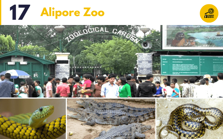 place-in-kolkata-alipore-zoo