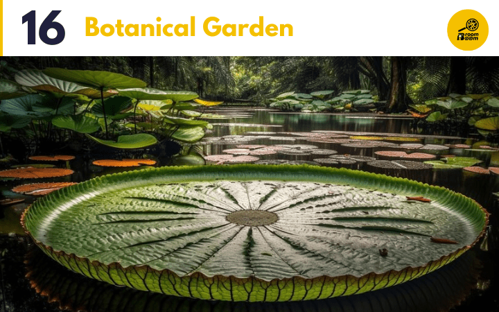 place-in-kolkata-botanical-garden